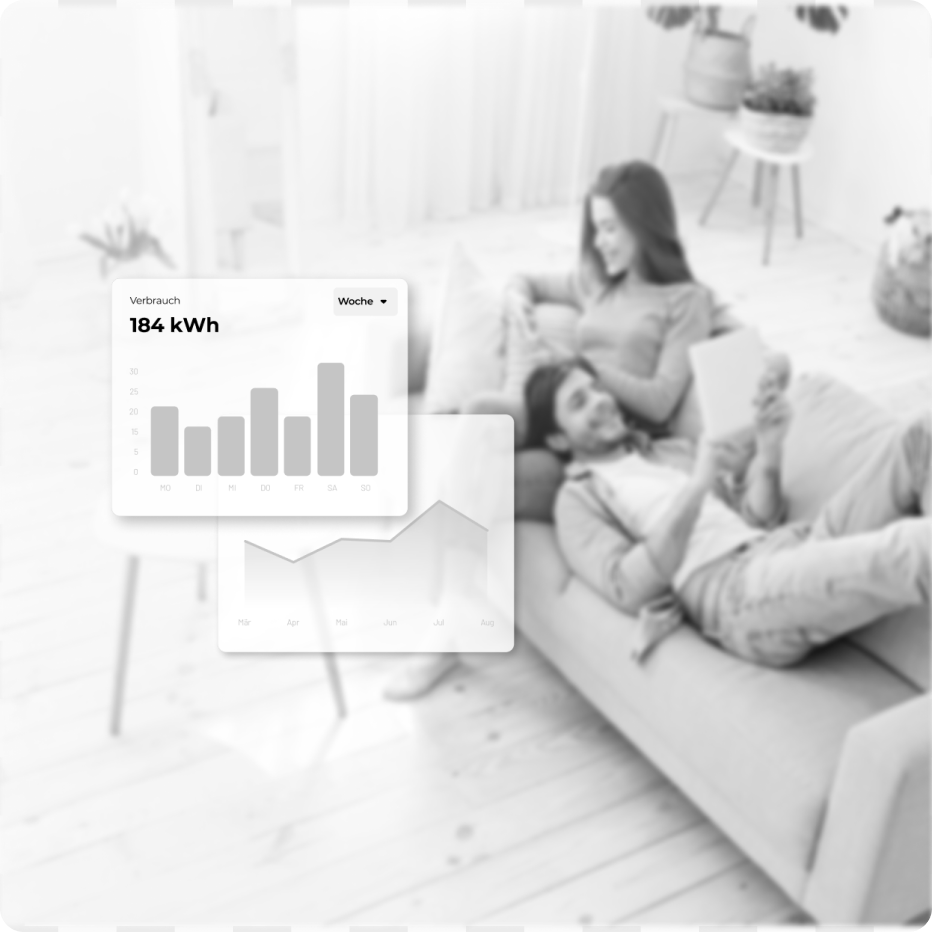 Home Monitor